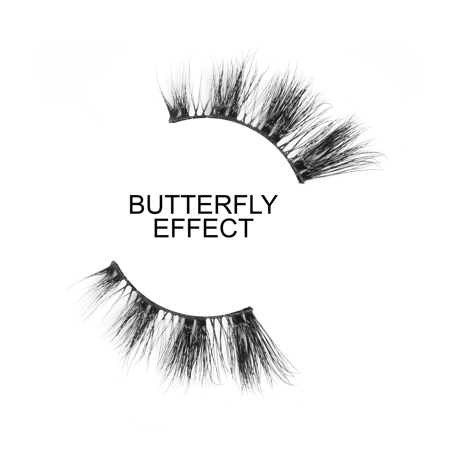 Butterfly Effect - Image 5