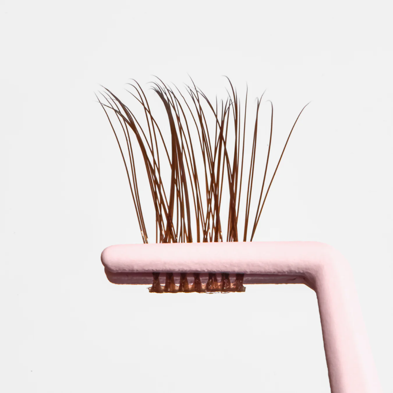 Cappuccino - Image 4