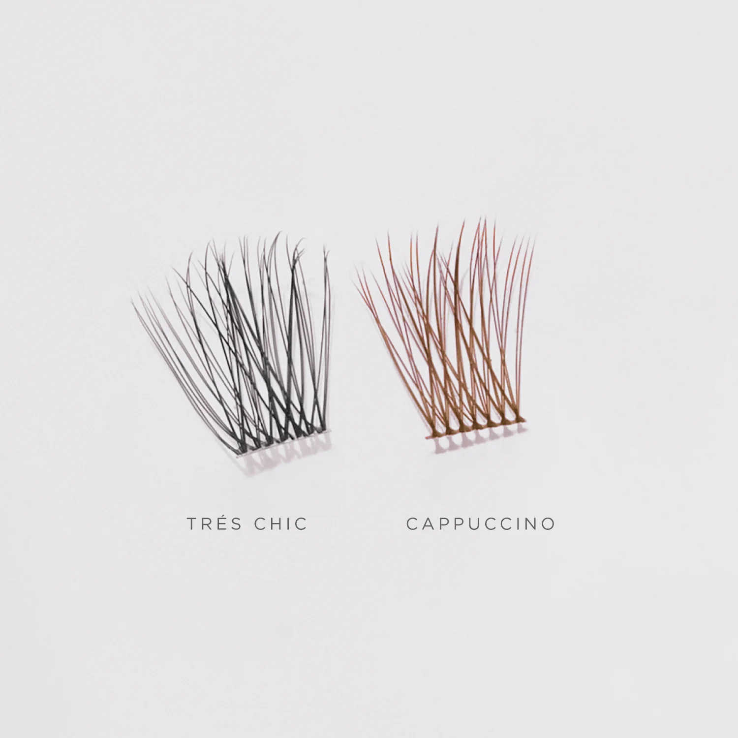 Cappuccino - Image 6