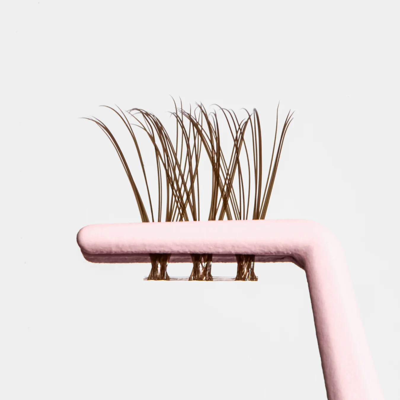 Hazelnut Au Natural - Image 3