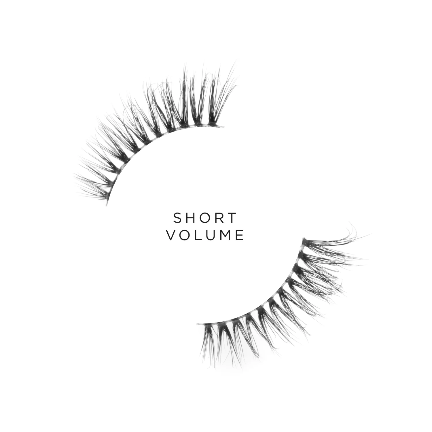 Short volume - Image 5